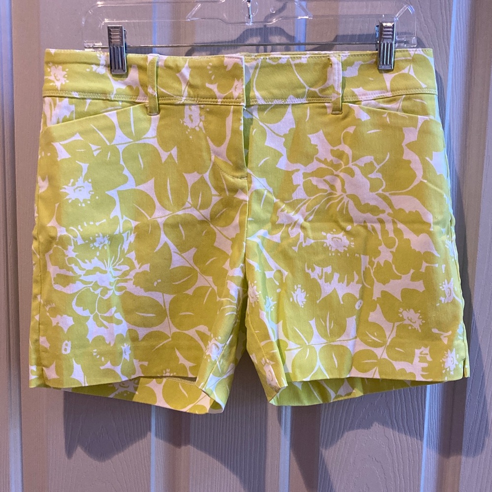 EUC The Limited Shorts